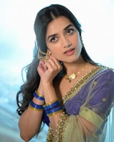 Bhagyashri Borse Stuns in Timeless Traditional Elegance